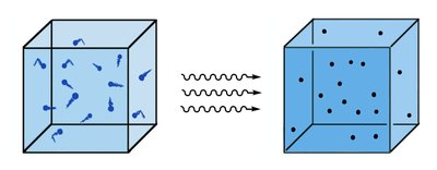 Glass with water and objects showing displacement