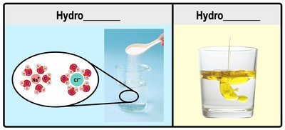 Hydrophilic vs hydrophobic substances