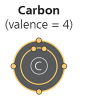 Carbon atom with 4 valence electrons