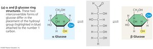 Alpha and beta glucose ring structures