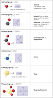 Table of common functional groups in organic molecules