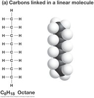 Linear hydrocarbon structure (octane)