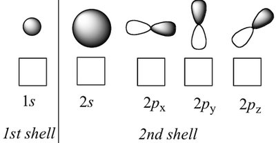Shapes of atomic orbitals (s and p)