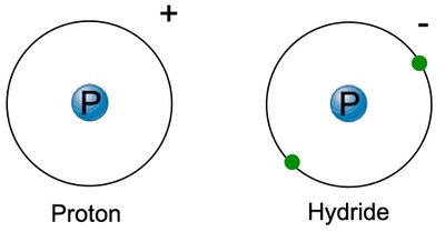 Proton and hydride ion
