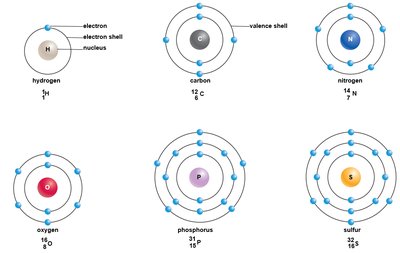 Energy shells for common elements