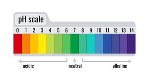 pH scale showing color indicators from acidic to alkaline