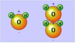 Polarity and hydrogen bonding in water molecules