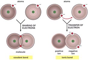 Comparison of covalent and ionic bonds