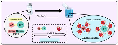Heat of vaporization: transition from liquid water to water vapor