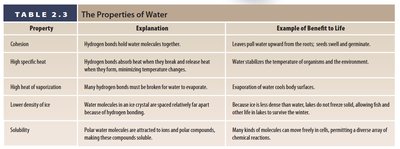 Table summarizing the properties of water, their explanations, and benefits to life