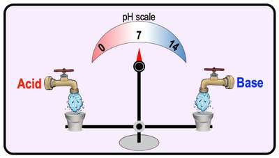 Balance of acids and bases on the pH scale