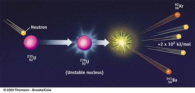 Nuclear fission process