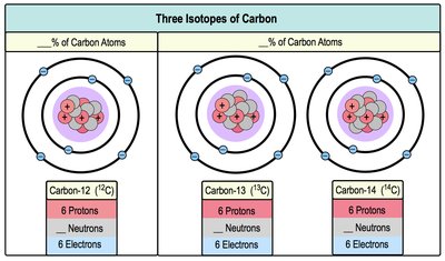 Decay curve of Carbon-14 showing half-lives